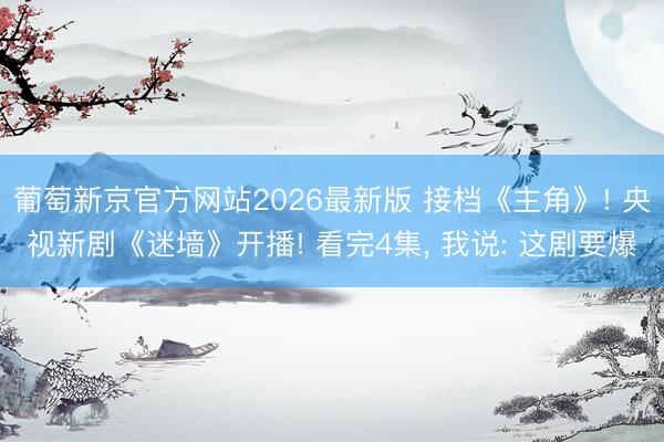 葡萄新京官方网站2026最新版 接档《主角》! 央视新剧《迷墙》开播! 看完4集， 我说: 这剧要爆