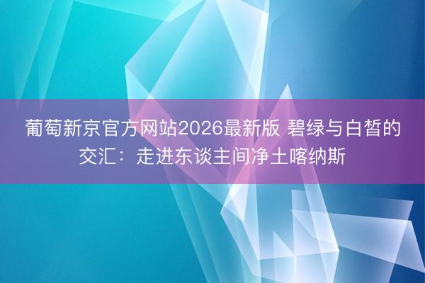 葡萄新京官方网站2026最新版 碧绿与白皙的交汇：走进东谈主间净土喀纳斯