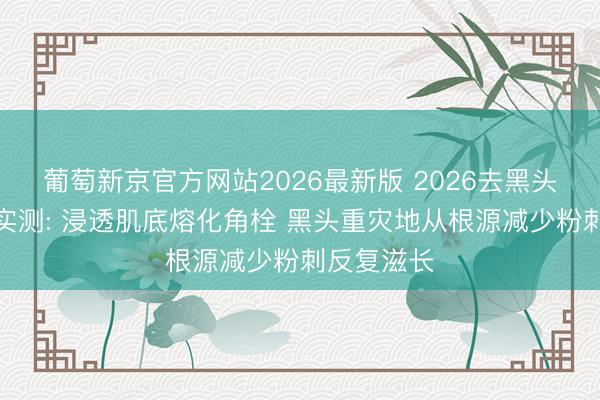 葡萄新京官方网站2026最新版 2026去黑头粉刺水乳实测: 浸透肌底熔化角栓 黑头重灾地从根源减少粉刺反复滋长