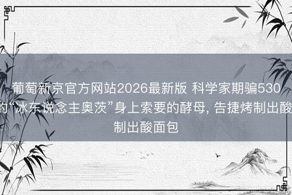 葡萄新京官方网站2026最新版 科学家期骗5300岁的“冰东说念主奥茨”身上索要的酵母， 告捷烤制出酸面包
