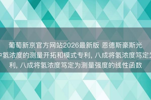 葡萄新京官方网站2026最新版 恩德斯豪斯光学央求用于测量气体中氢浓度的测量开拓和模式专利， 八成将氢浓度笃定为测量强度的线性函数
