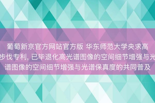 葡萄新京官方网站官方版 华东师范大学央求高光谱图像零样本收复步伐专利， 已毕退化高光谱图像的空间细节增强与光谱保真度的共同普及