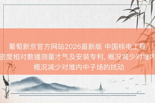 葡萄新京官方网站2026最新版 中国核电工程恳求中子通量密度相对散播测量才气及安装专利, 概况减少对堆内中子场的扰动