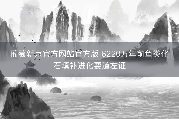 葡萄新京官方网站官方版 6220万年前鱼类化石填补进化要道左证