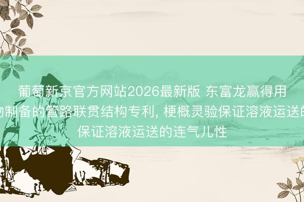 葡萄新京官方网站2026最新版 东富龙赢得用于纳米药物制备的管路联贯结构专利， 梗概灵验保证溶液运送的连气儿性