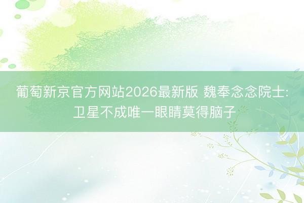 葡萄新京官方网站2026最新版 魏奉念念院士: 卫星不成唯一眼睛莫得脑子