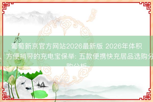葡萄新京官方网站2026最新版 2026年体积小、方便捎带的充电宝保举: 五款便携快充居品选购分析