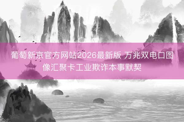 葡萄新京官方网站2026最新版 万兆双电口图像汇聚卡工业欺诈本事默契
