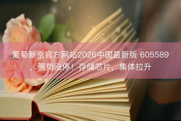 葡萄新京官方网站2026中国最新版 605589，强势涨停！存储芯片，集体拉升