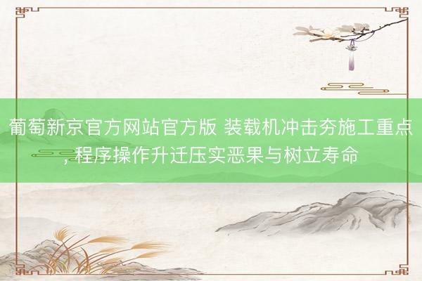 葡萄新京官方网站官方版 装载机冲击夯施工重点， 程序操作升迁压实恶果与树立寿命