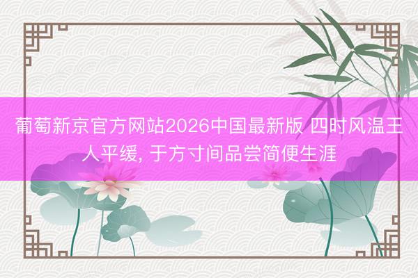 葡萄新京官方网站2026中国最新版 四时风温王人平缓， 于方寸间品尝简便生涯