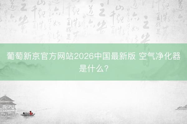 葡萄新京官方网站2026中国最新版 空气净化器是什么?