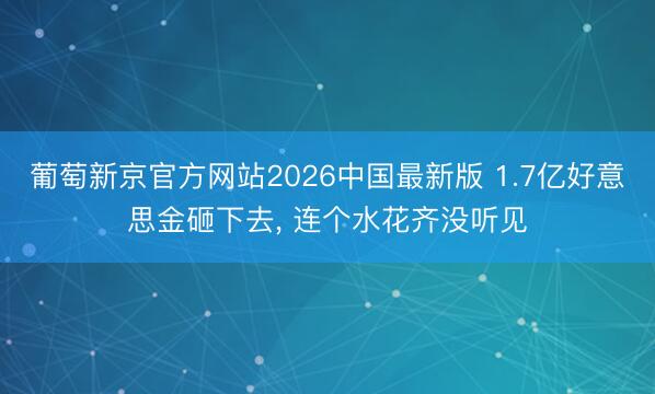 葡萄新京官方网站2026中国最新版 1.7亿好意思金砸下去, 连个水花齐没听见