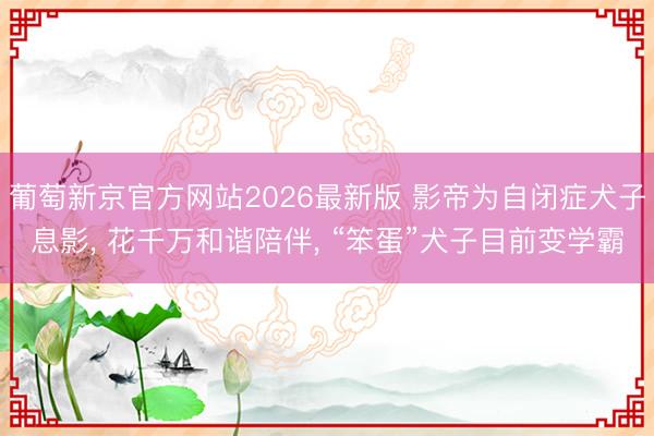葡萄新京官方网站2026最新版 影帝为自闭症犬子息影， 花千万和谐陪伴， “笨蛋”犬子目前变学霸