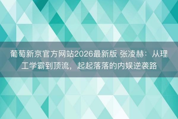 葡萄新京官方网站2026最新版 张凌赫：从理工学霸到顶流，起起落落的内娱逆袭路