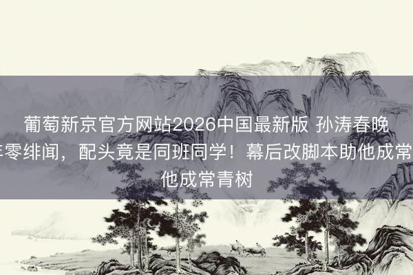 葡萄新京官方网站2026中国最新版 孙涛春晚30年零绯闻,配头竟是同班同学!幕后改脚本助他成常青树