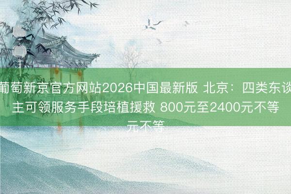 葡萄新京官方网站2026中国最新版 北京：四类东谈主可领服务手段培植援救 800元至2400元不等