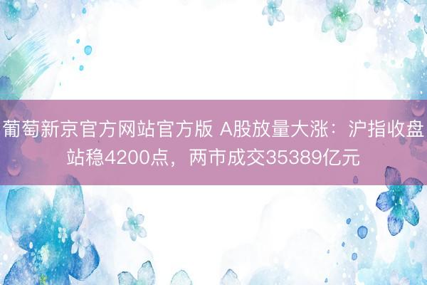 葡萄新京官方网站官方版 A股放量大涨:沪指收盘站稳4200点,两市成交35389亿元