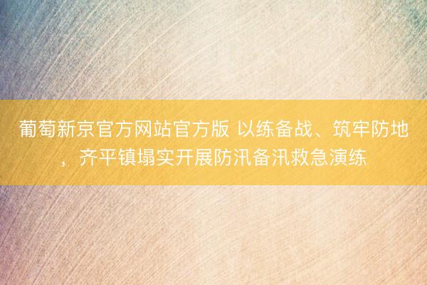 葡萄新京官方网站官方版 以练备战、筑牢防地,齐平镇塌实开展防汛备汛救急演练