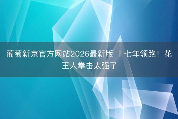 葡萄新京官方网站2026最新版 十七年领跑！花王人拳击太强了