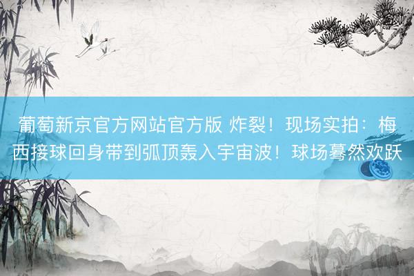 葡萄新京官方网站官方版 炸裂！现场实拍：梅西接球回身带到弧顶轰入宇宙波！球场蓦然欢跃